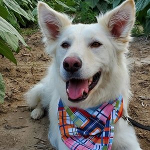 Meet your Posher, Veronica